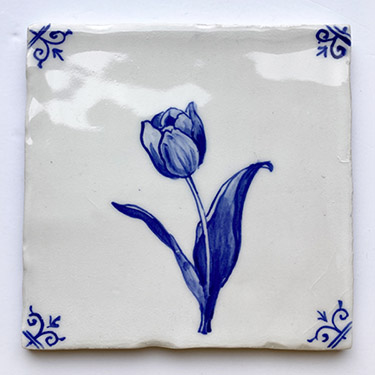 Tulp